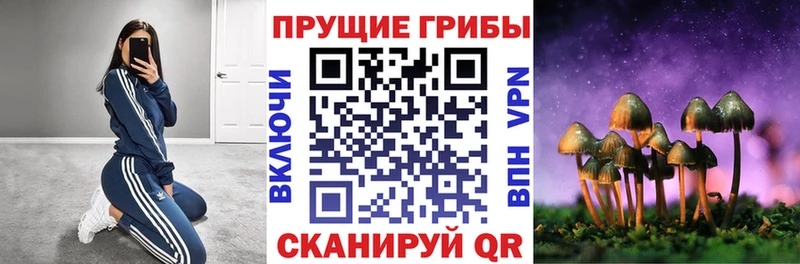 цена   Белёв  МЕГА сайт  Псилоцибиновые грибы GOLDEN TEACHER 